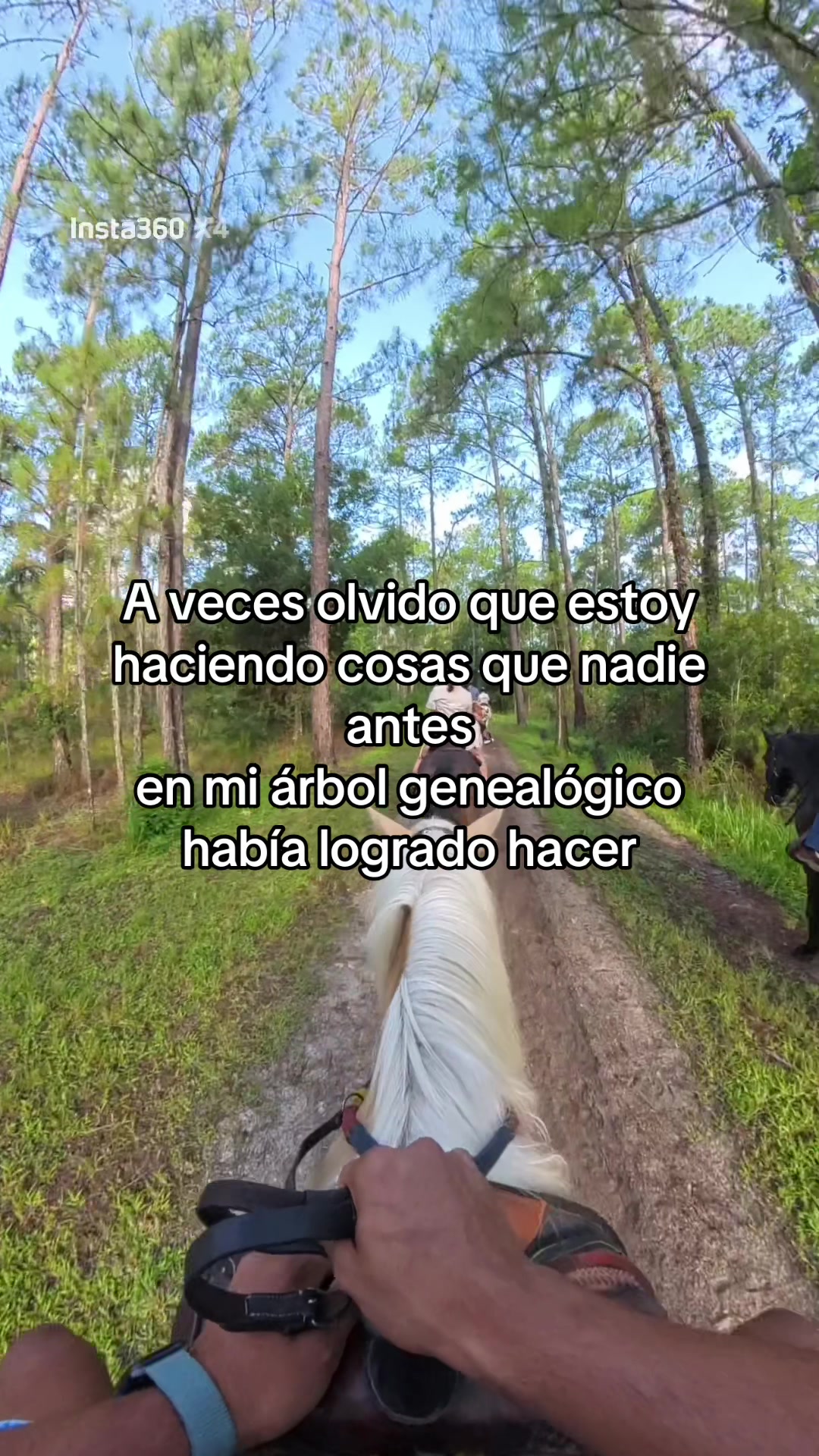 @Oswaldovillamizarm