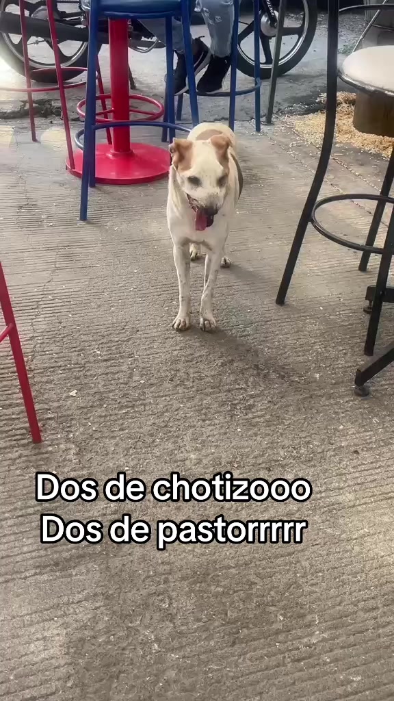 @Regina Longoria
