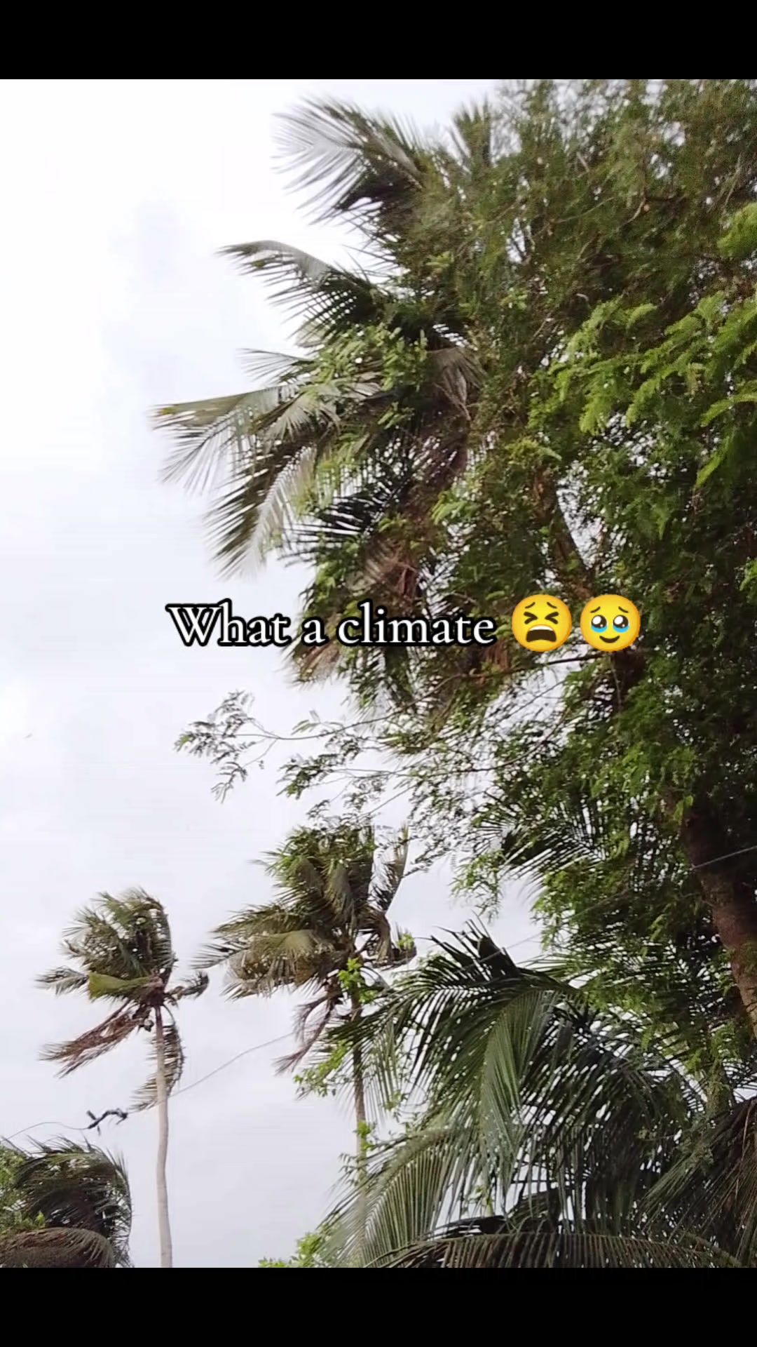 @-নমশূদ্রের সন্তান 🚩