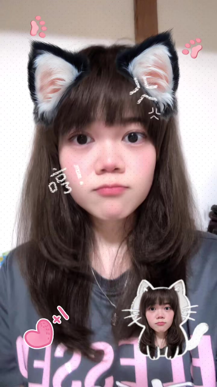 @๐แแฌแแญแแฌแแแฑแธ๐๐๐ฒ๐ฒ๐ฏ๐ต