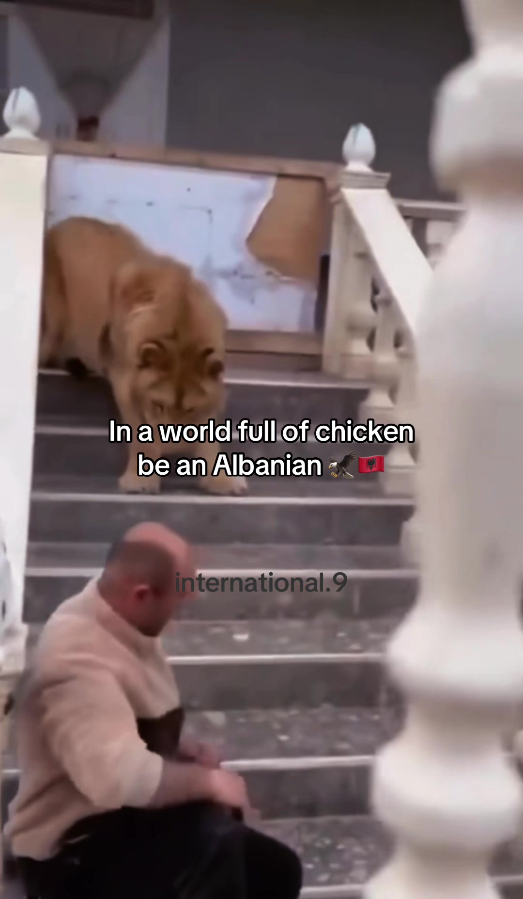 @international.9