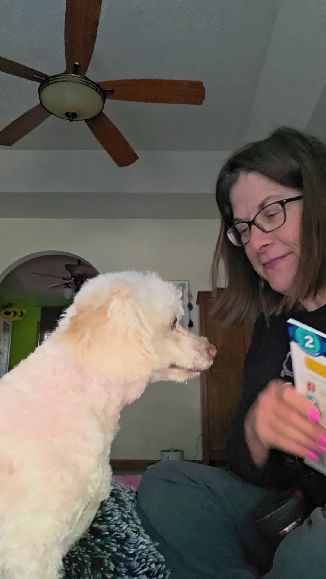 @Omaha Pet Sitter