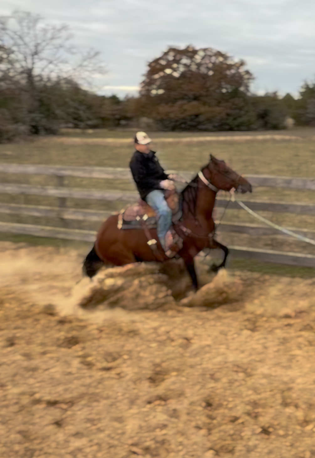 @HD Performance Horses
