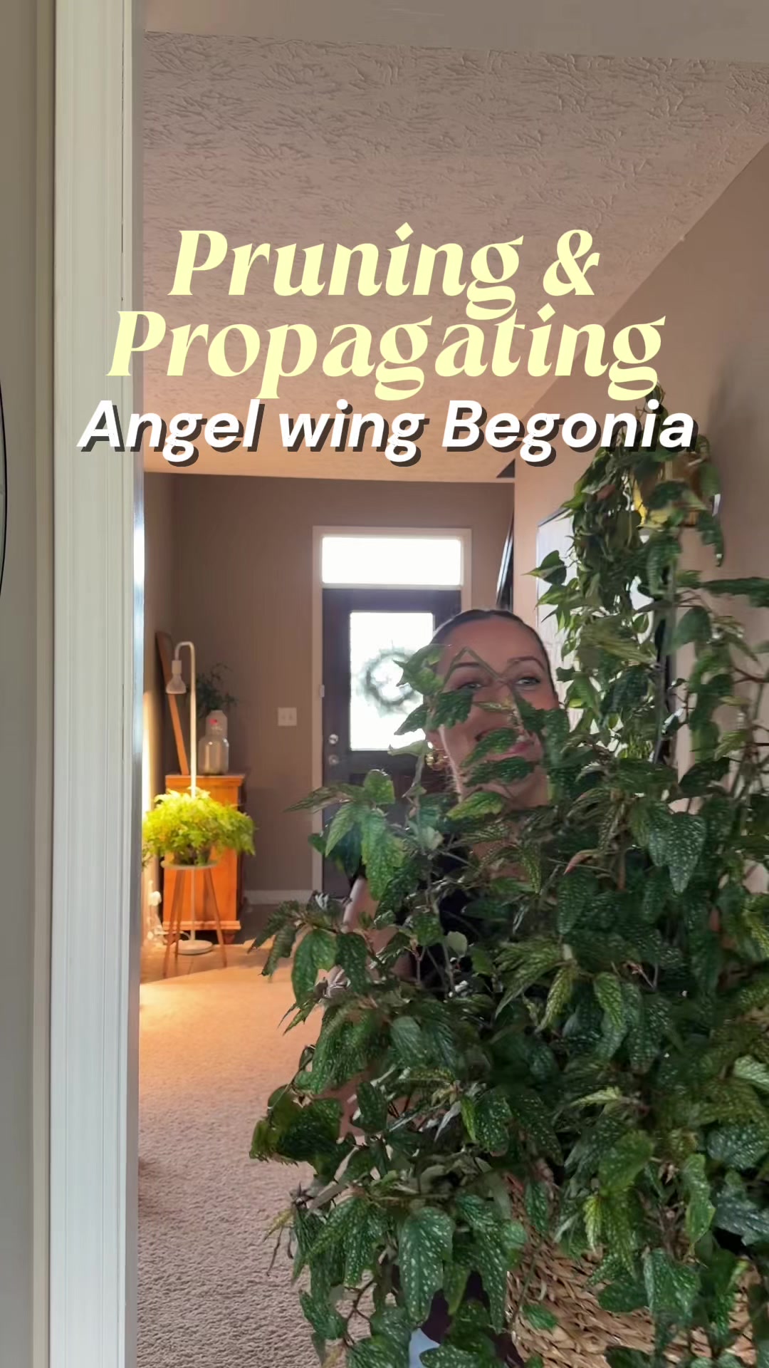 @PlantswithKrystal