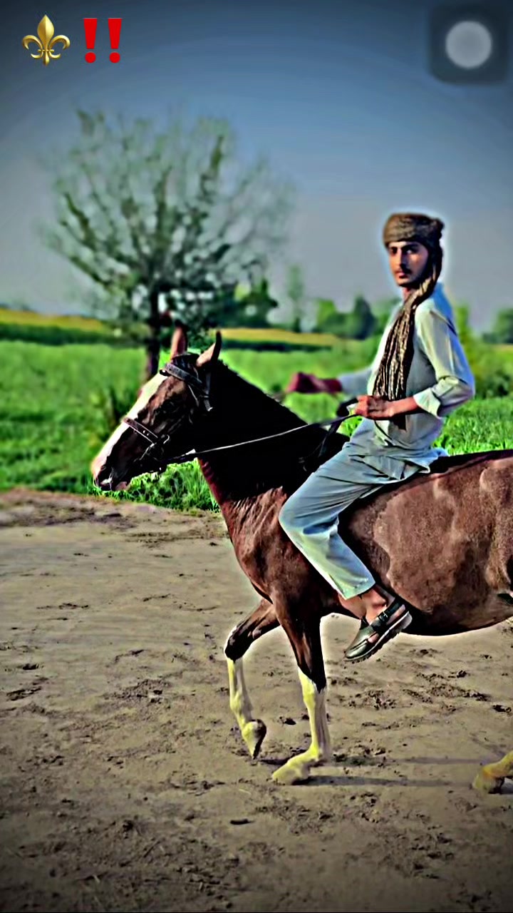 @Rehan209
