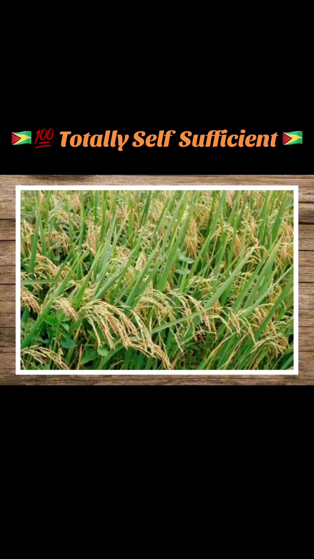 @Guyana Global