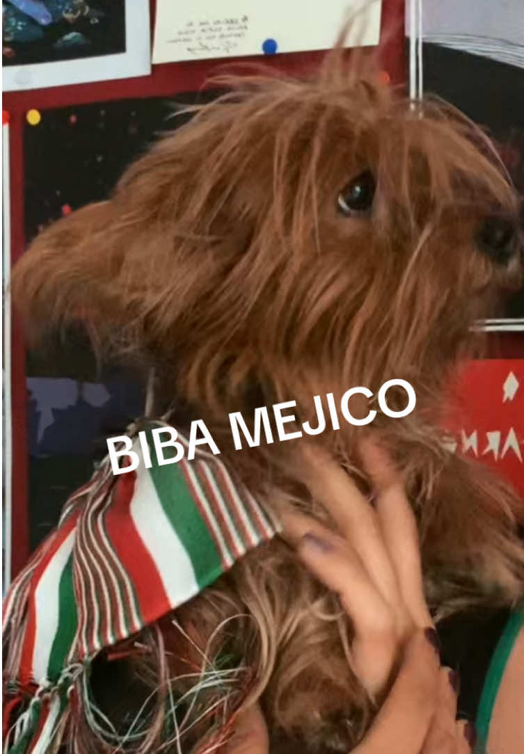 @S O F Í A