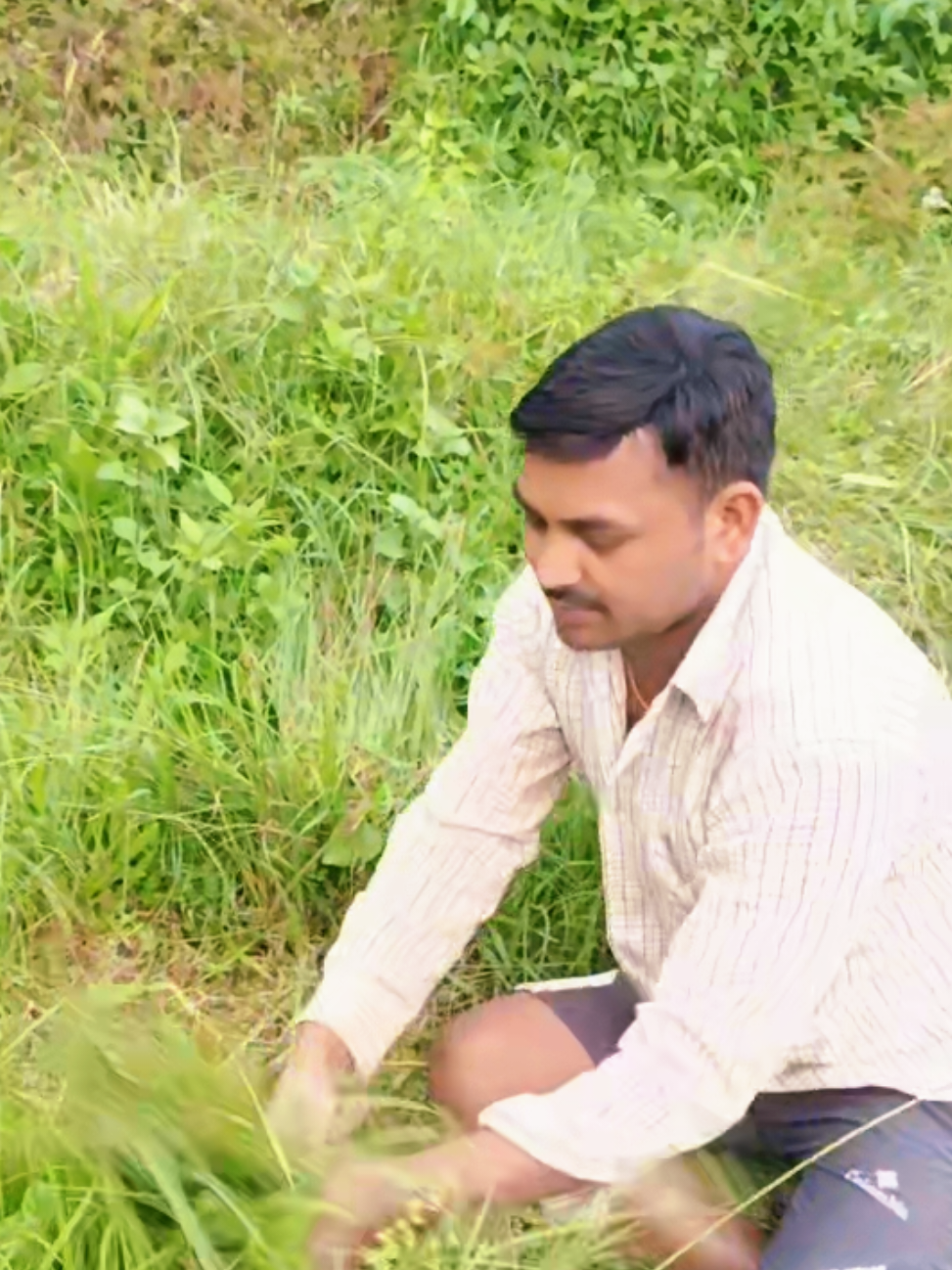 @Saroj Lamichhane