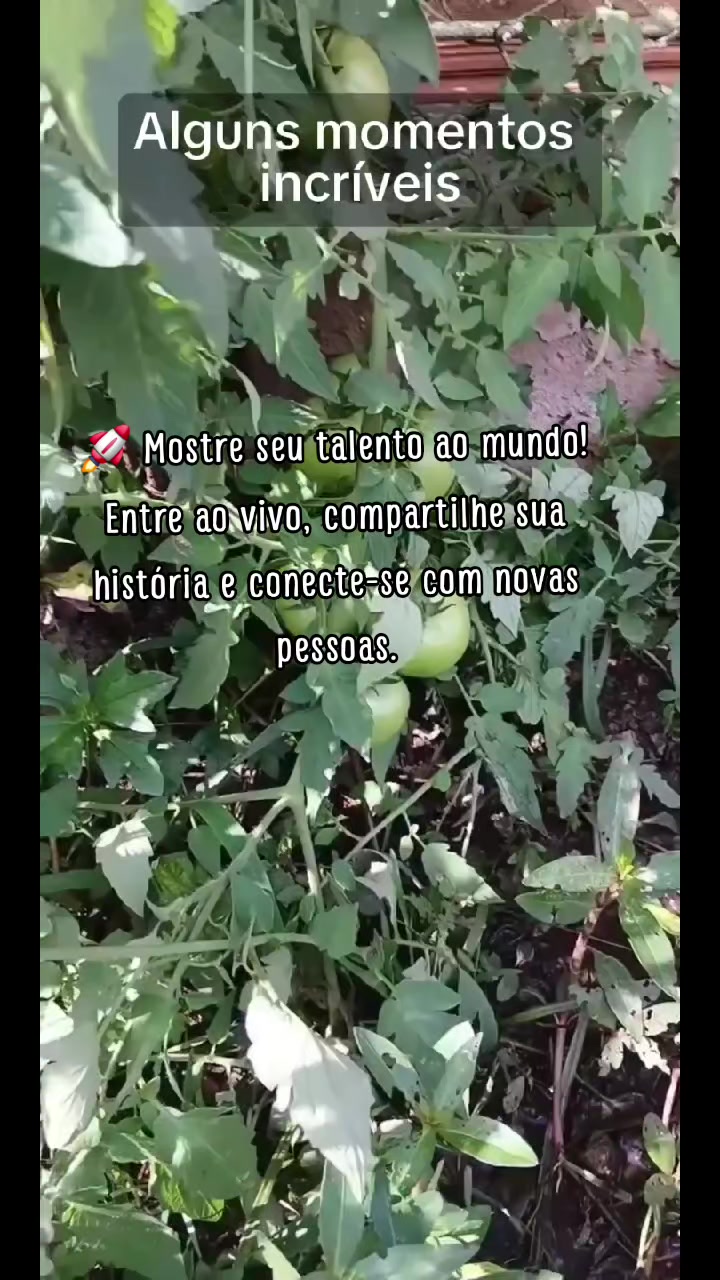 @van_cle