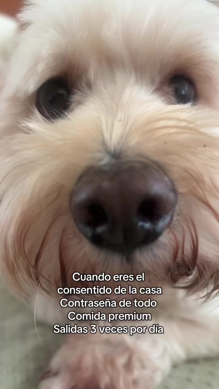 @Beyli