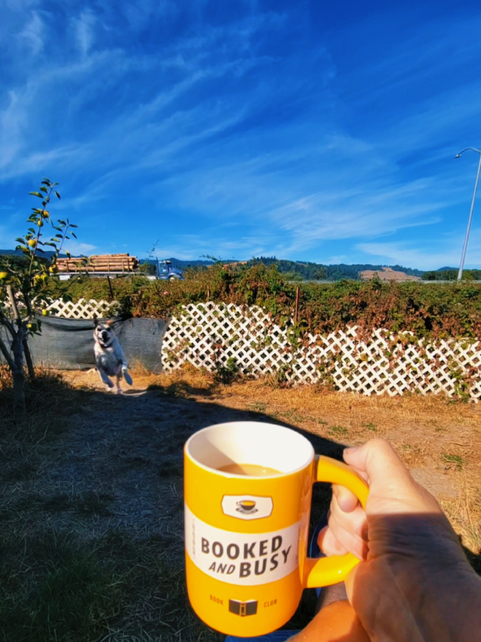 @Wendy 🐶 📚 🎧 ☕️🌲