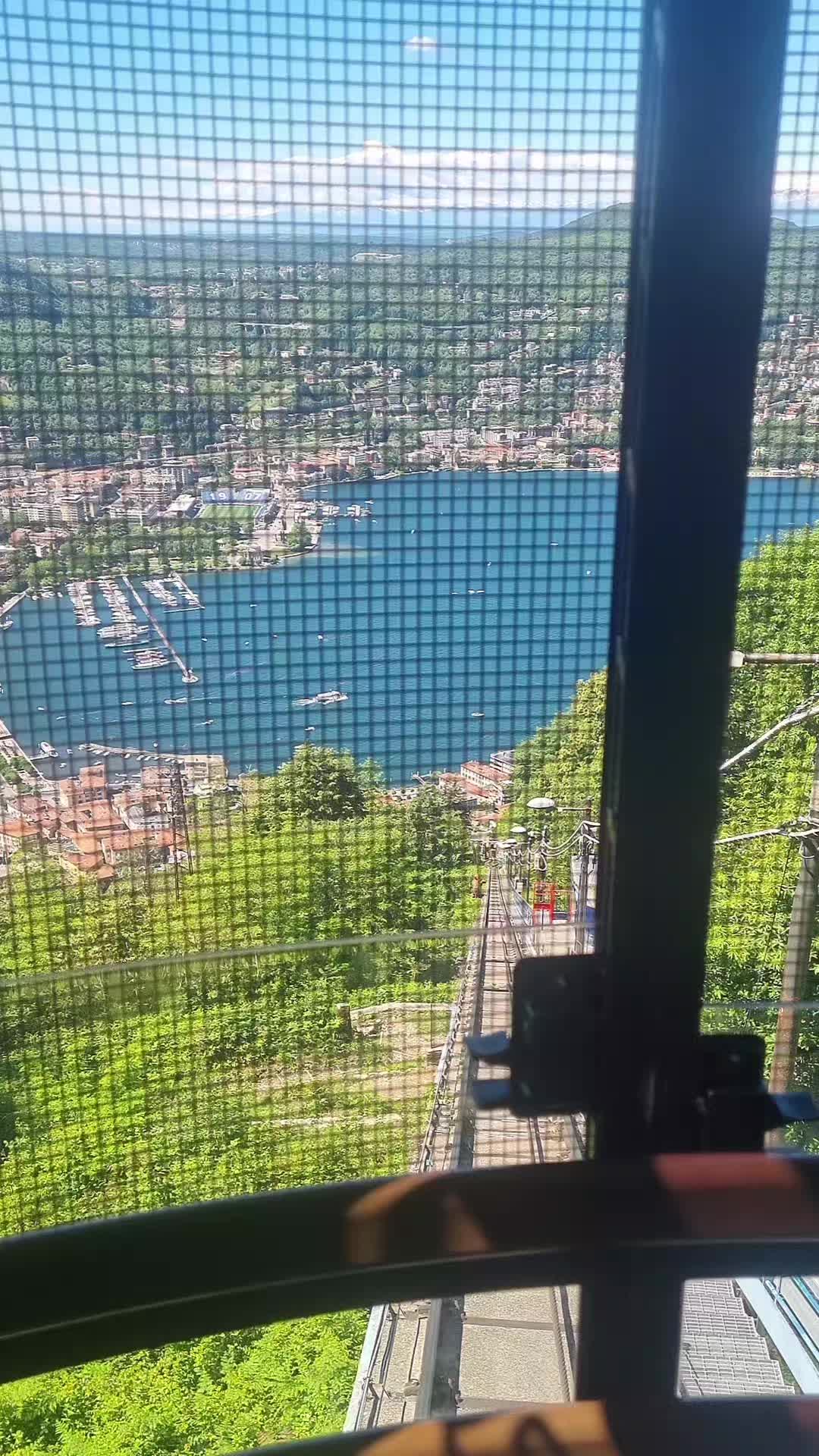 @saramelicchio