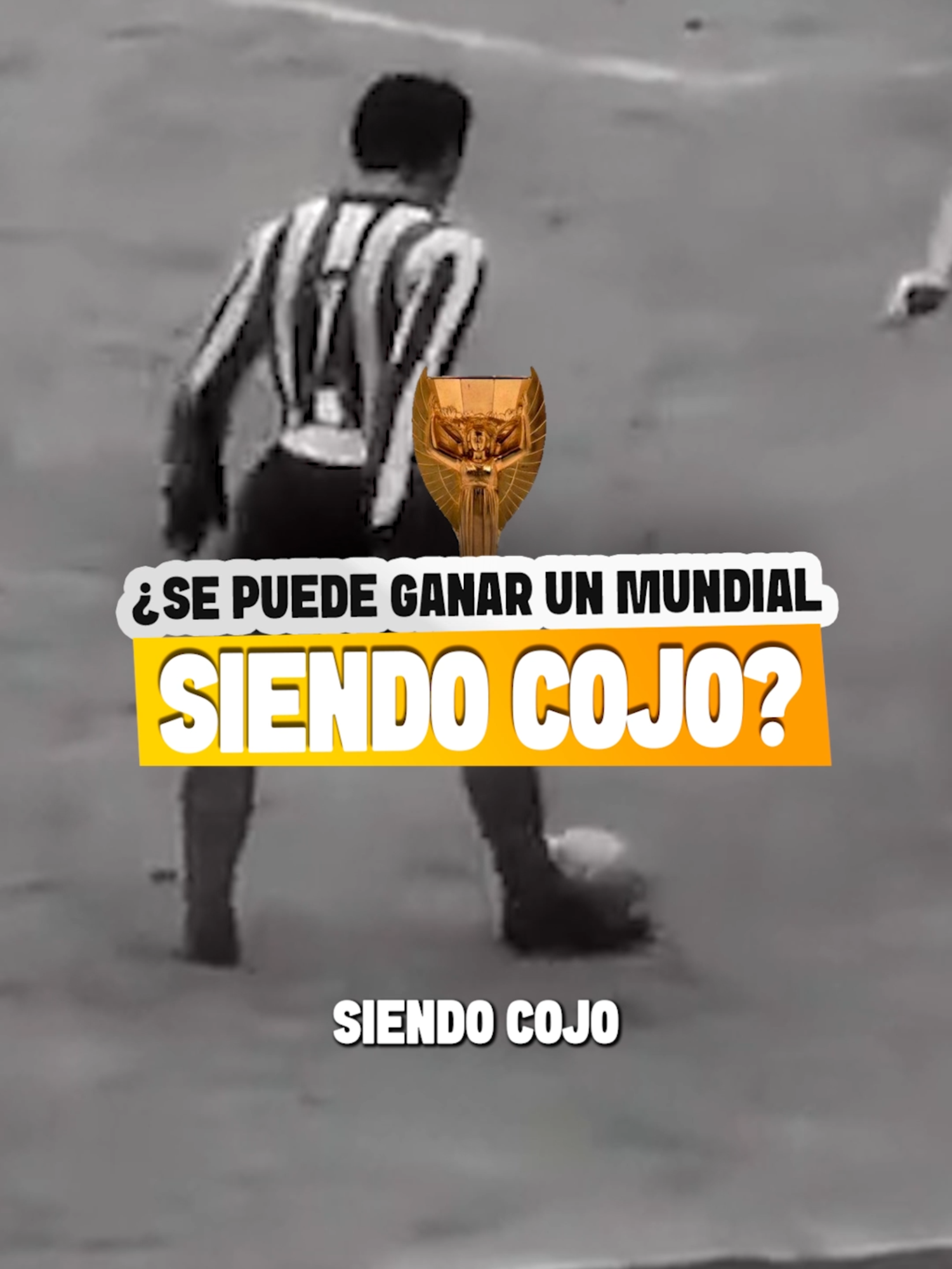 @Leoncito del f&uacute;tbol ⚽️🦁