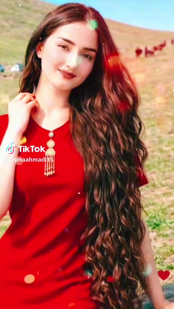 @iSefa Shirzad