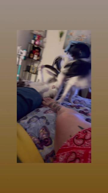 @BBWQueenLeo