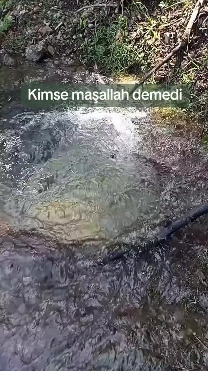 @Ferhat.Akdeniz