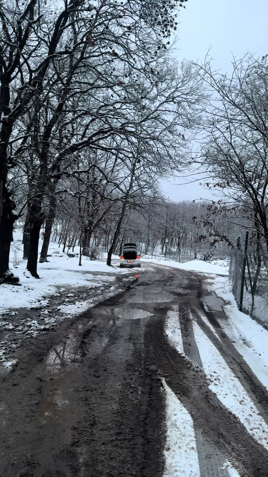 @turguthankarakilincc