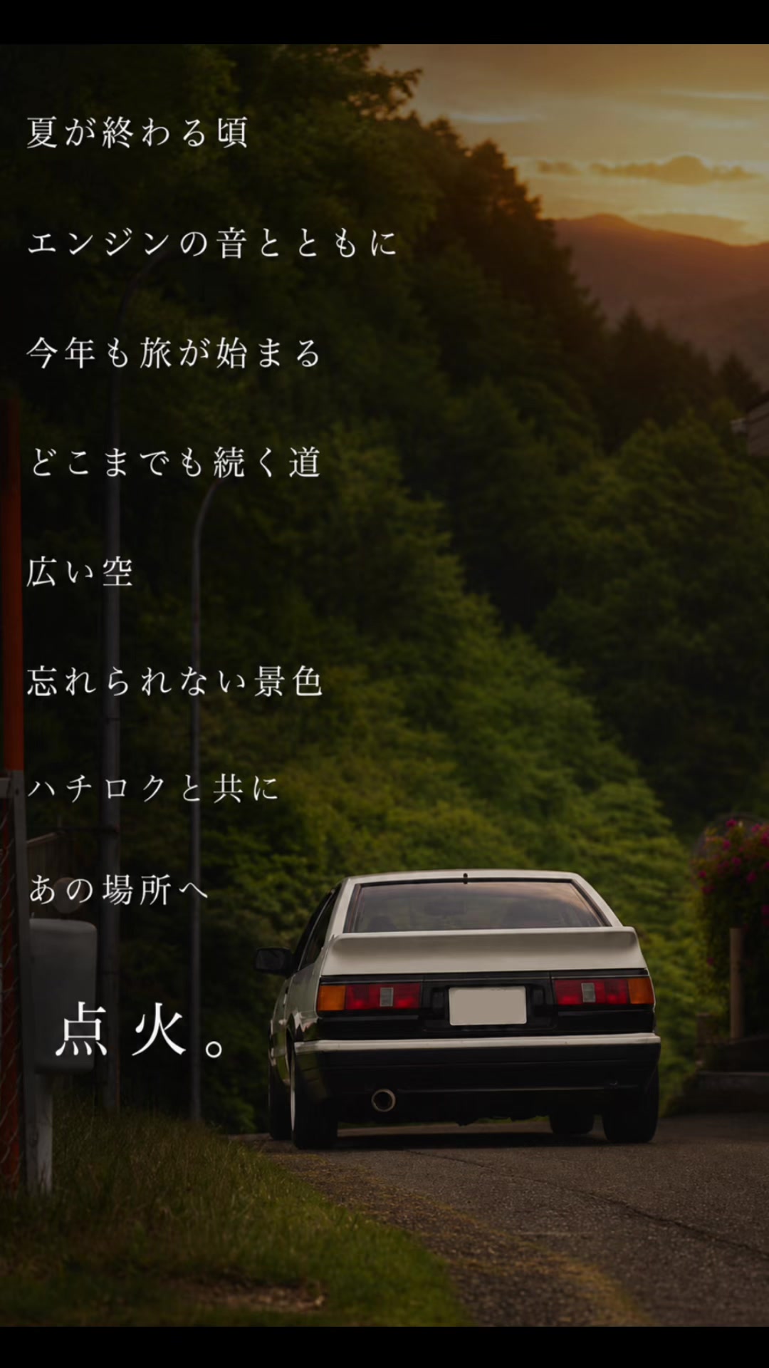 @珊瑚
