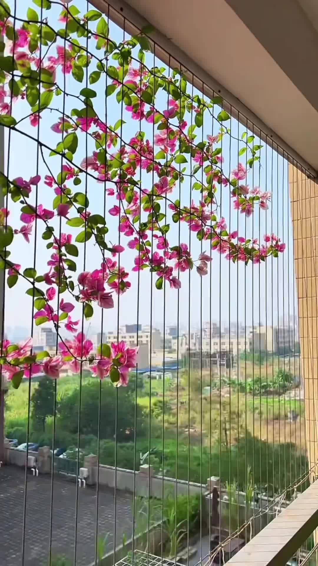 @北江魚
