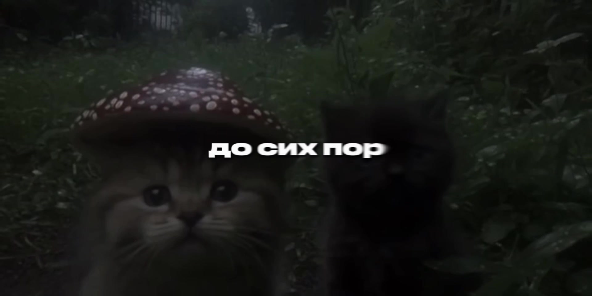 @треки для плей-листа