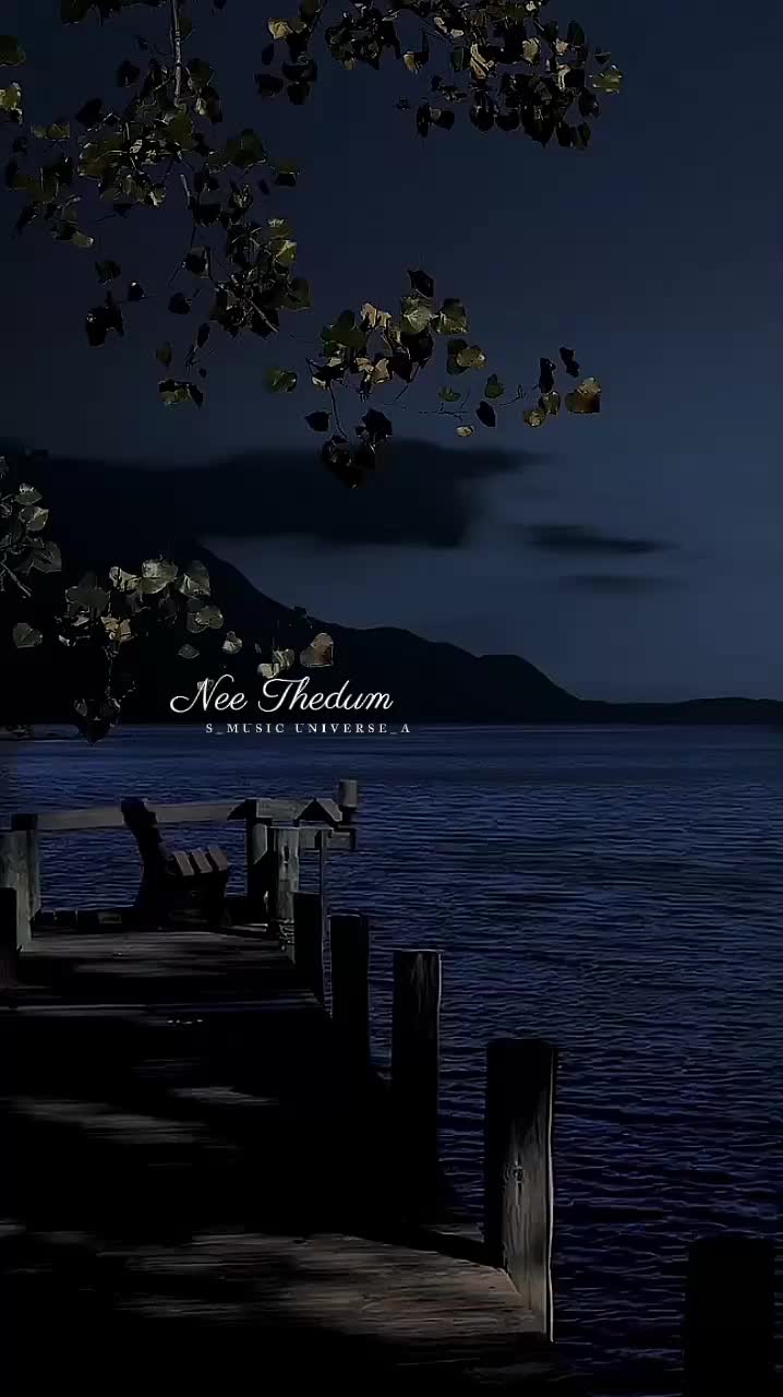 @&hearts;𝙈𝙐𝙎𝙄𝘾 𝙐𝙉𝙄𝙑𝙀𝙍𝙎𝙀&hearts;