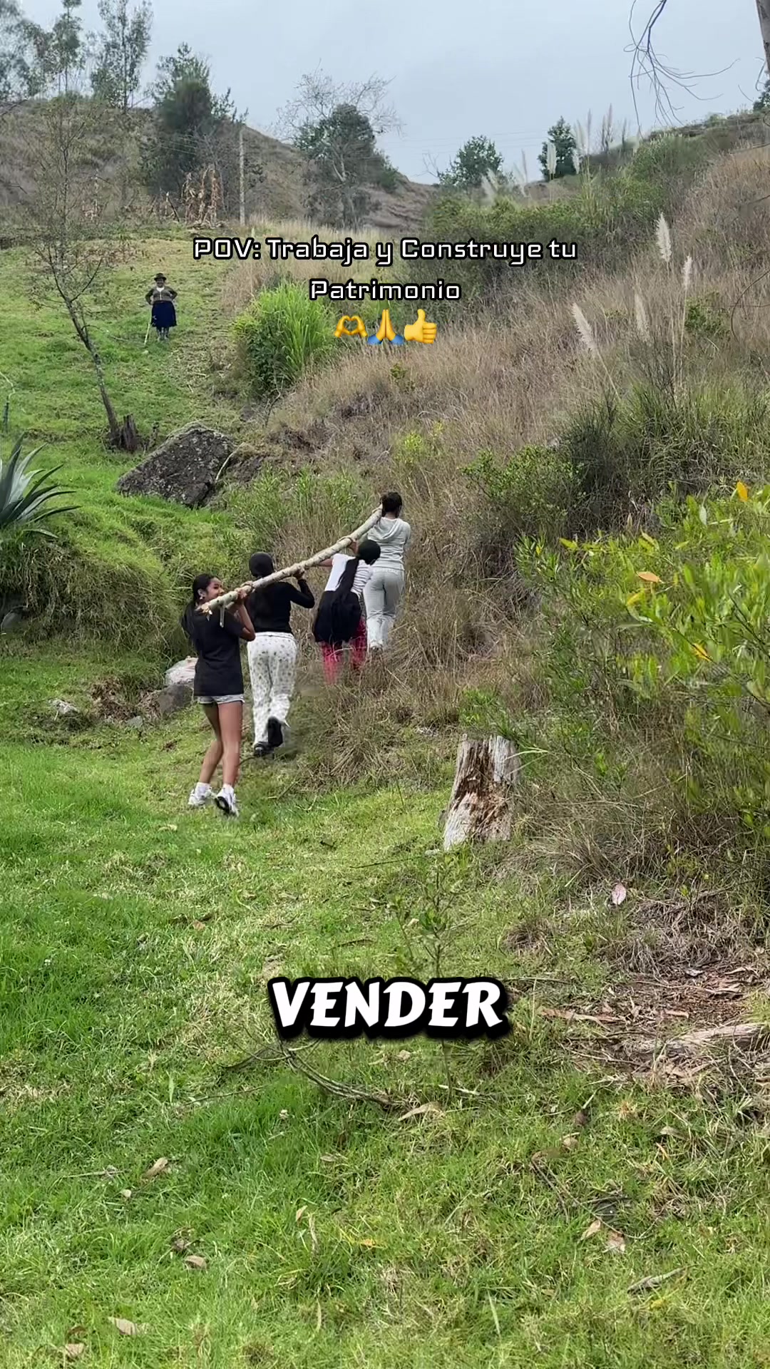 @HERNAN C-23