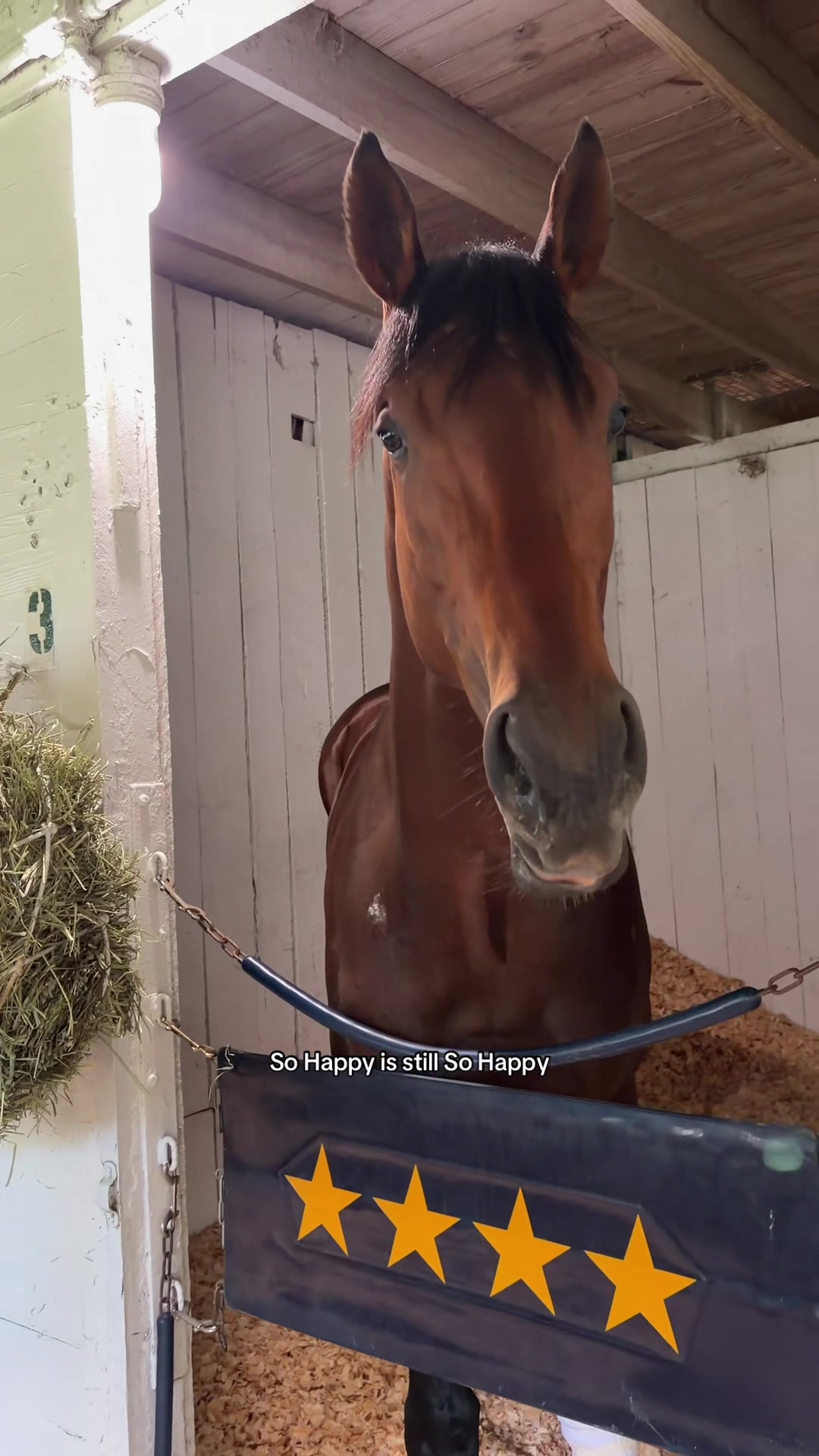 @churchilldowns