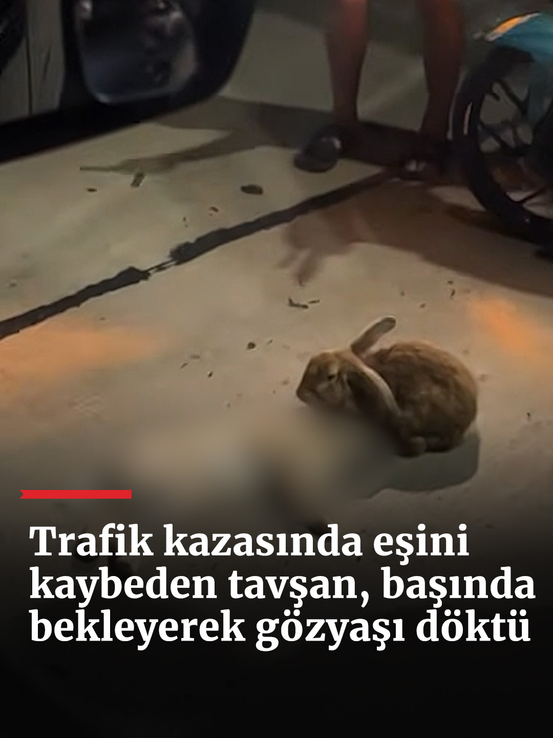 @haberlercom