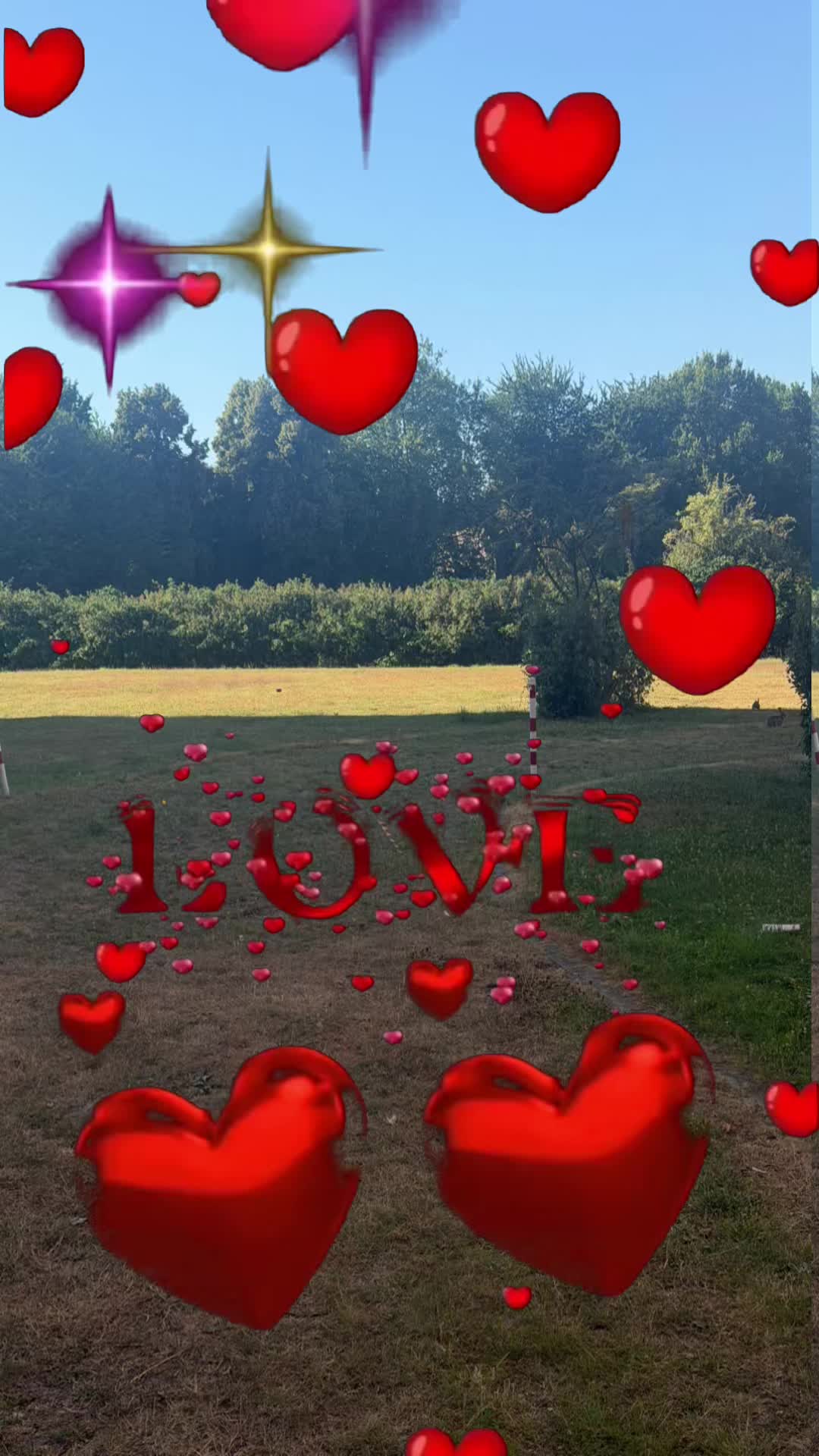 @löwenopa