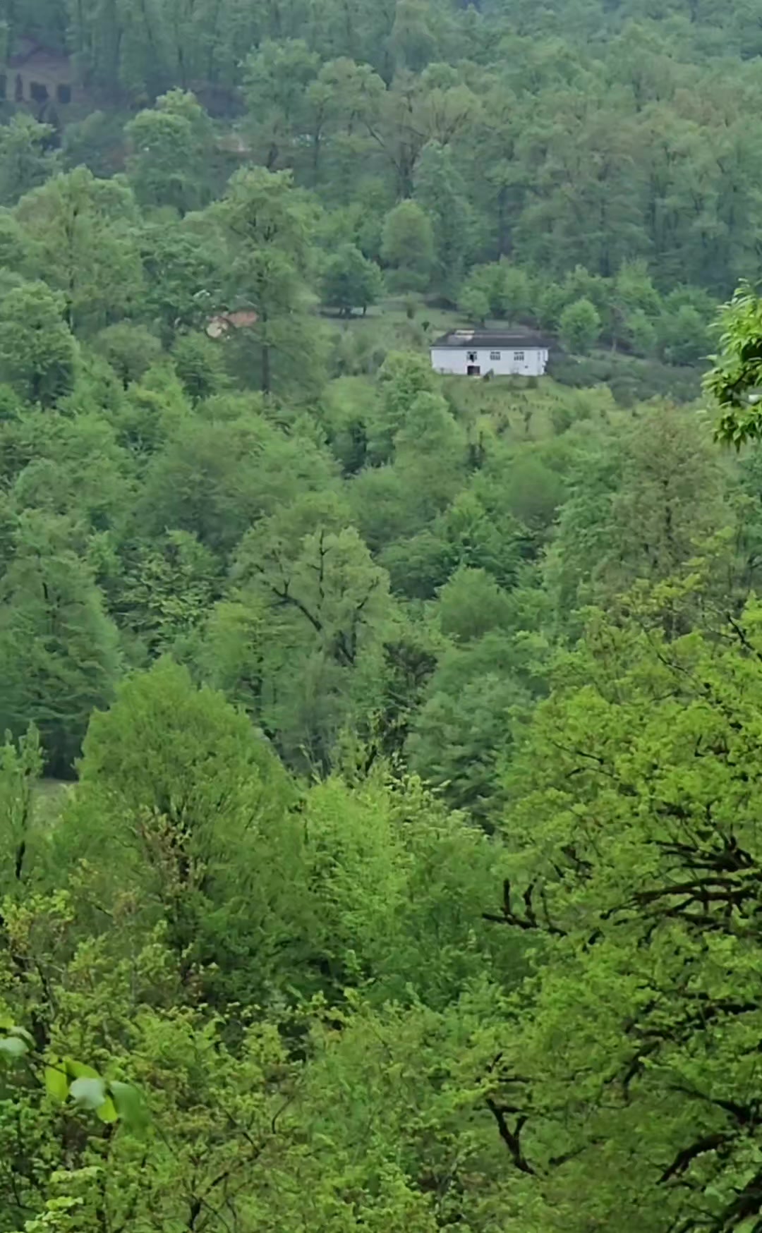 @Ehtiram