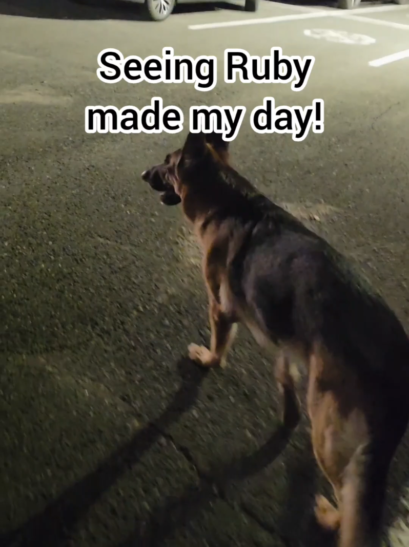 @BuddyandMikes Pal