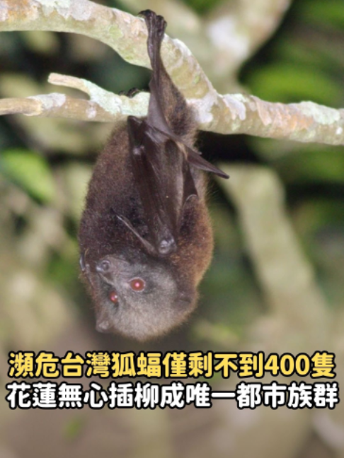@知新聞