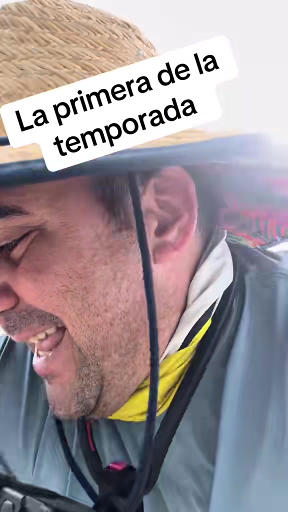 @Raul-Raul