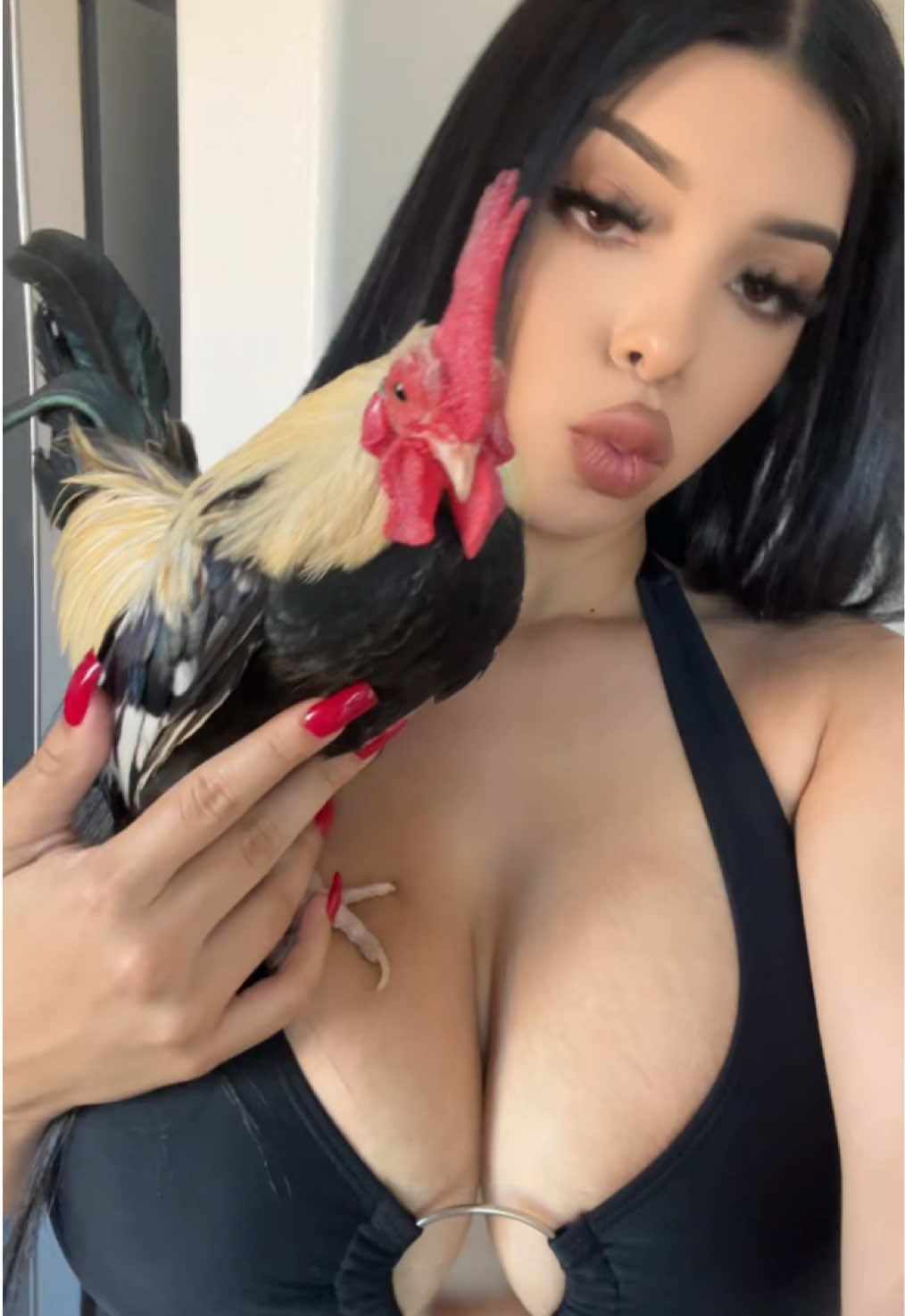 @Onlybritfanss