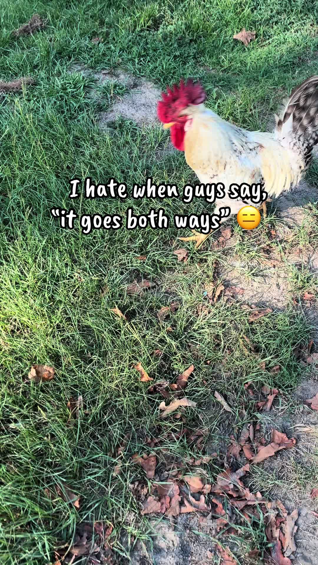 @Kayluhh.