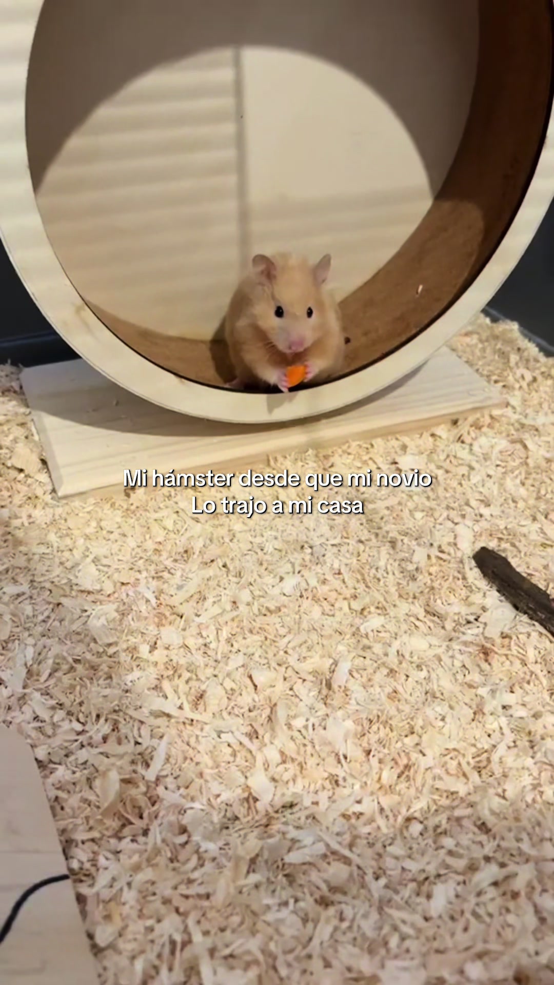 @𝓜