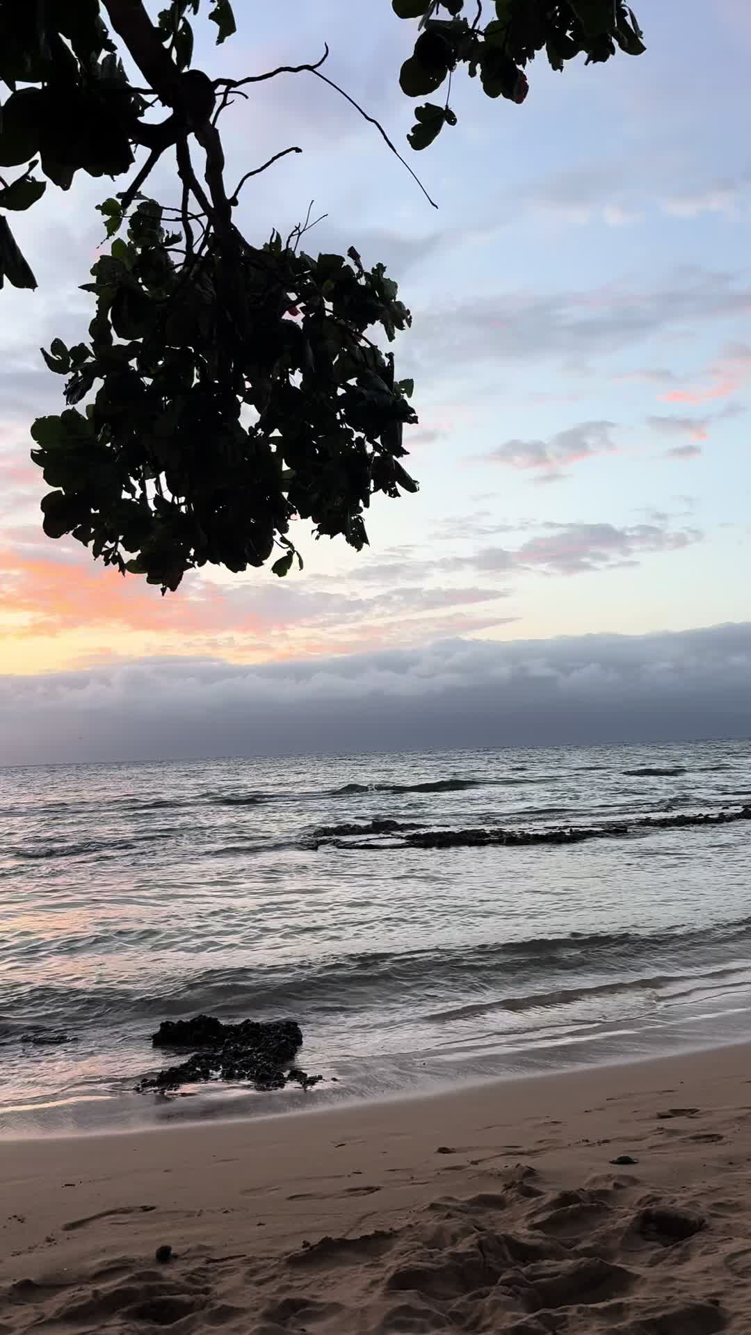 @Mauilani