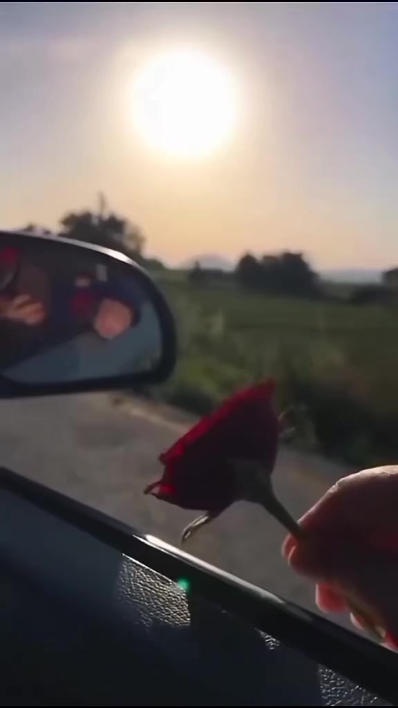 @🄼🄴🄷🄰🄺🅂🄷🄴🄸🄺🄷🌹🐺