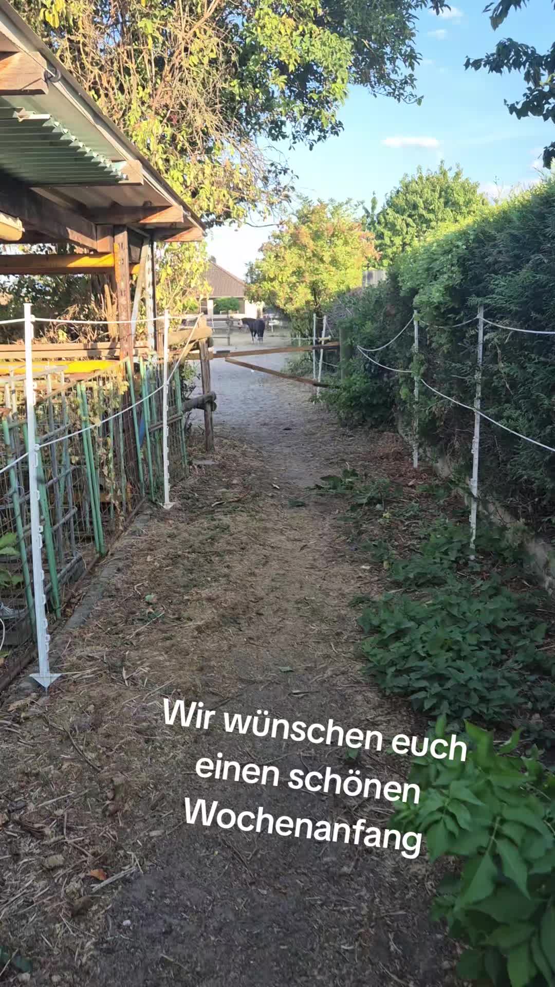 @LunaherzTina