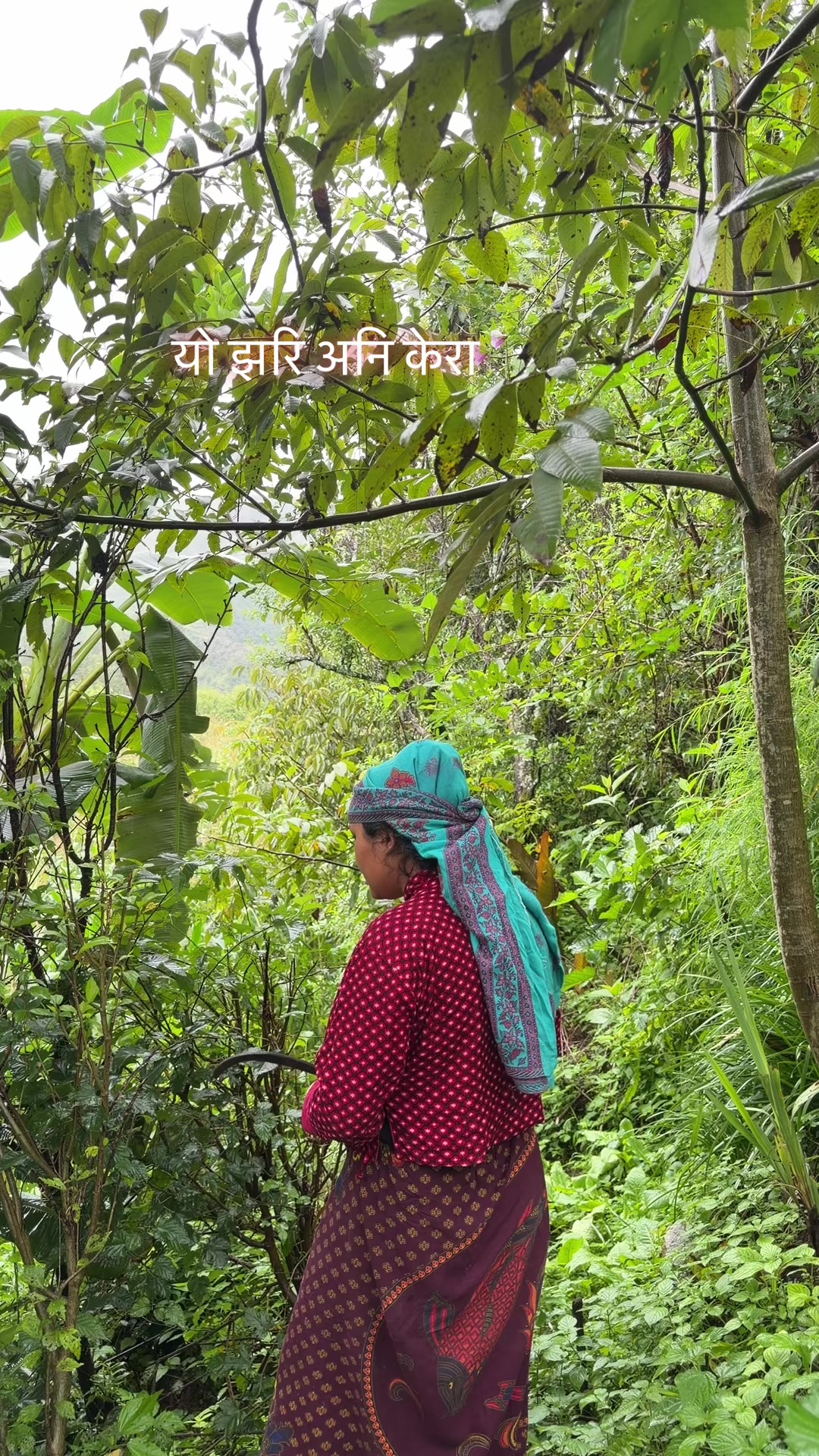 @Kalpana Rokaya Ghart