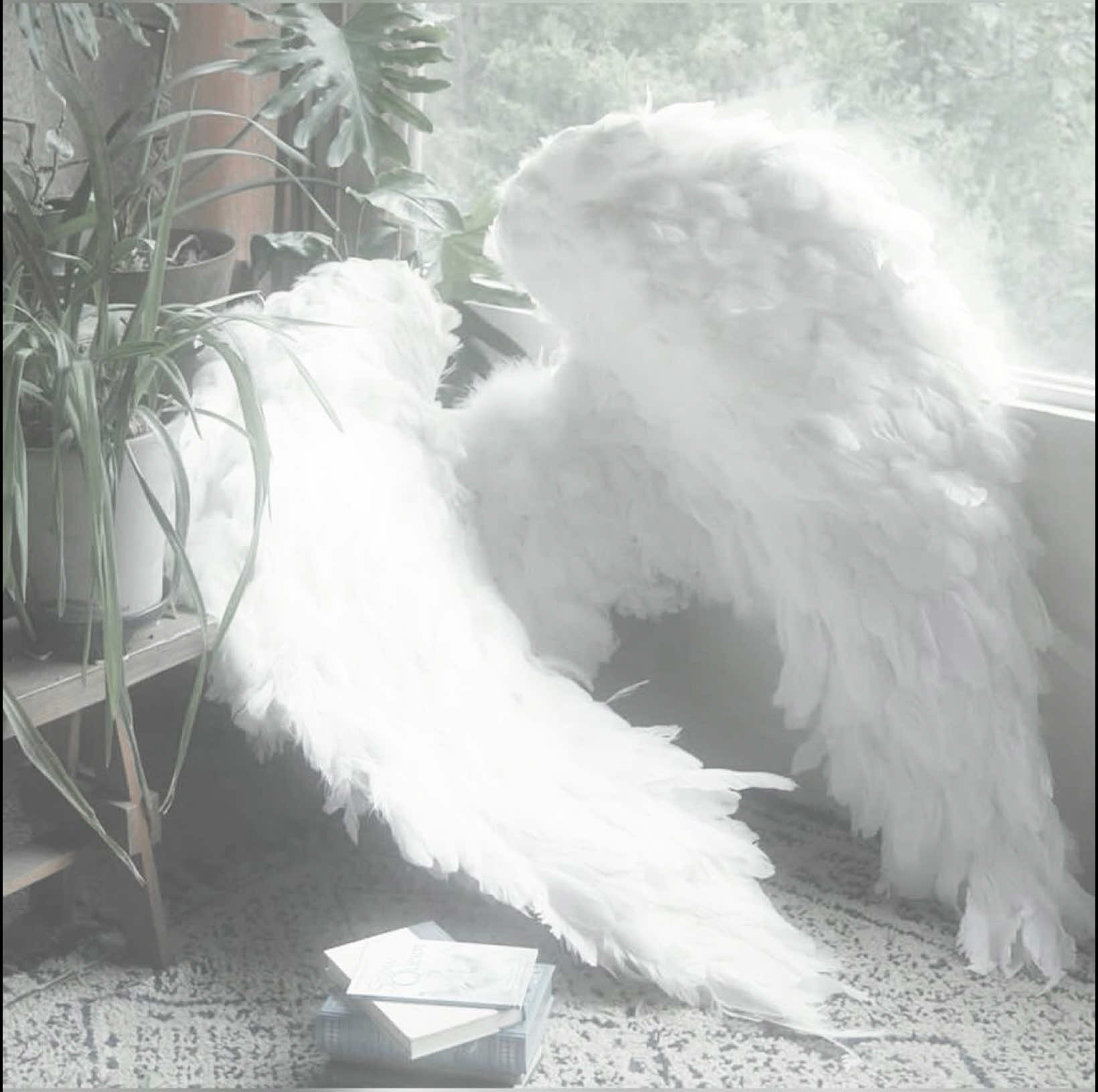 @𐂯.lambi ໒꒱⋆.˚|Tamsy’s lover🪽