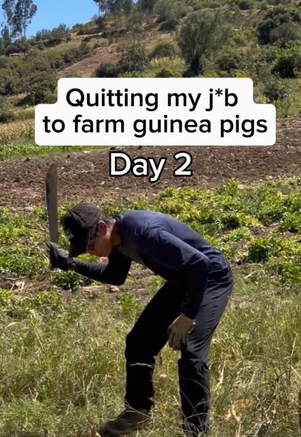 @JP