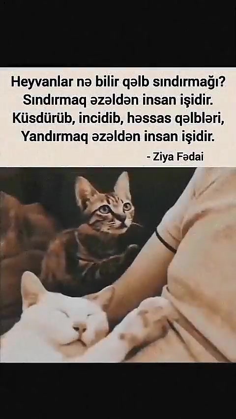 @sensiz_.dunyam_.o22
