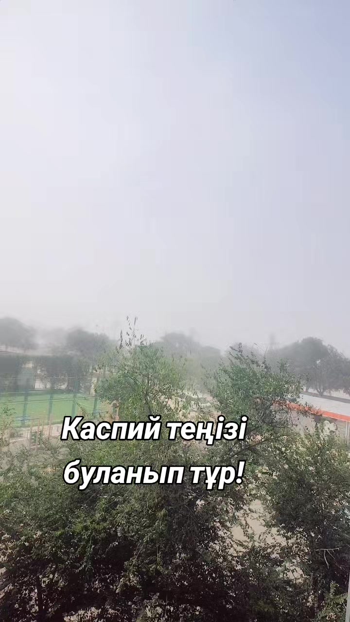@Микоша_ 🇰🇿🇰🇿🇰🇿