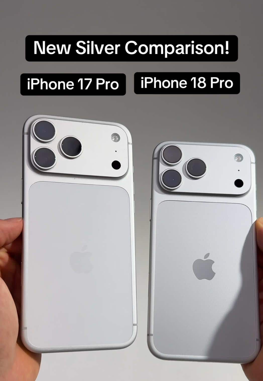 @appledsign | Apple Expert