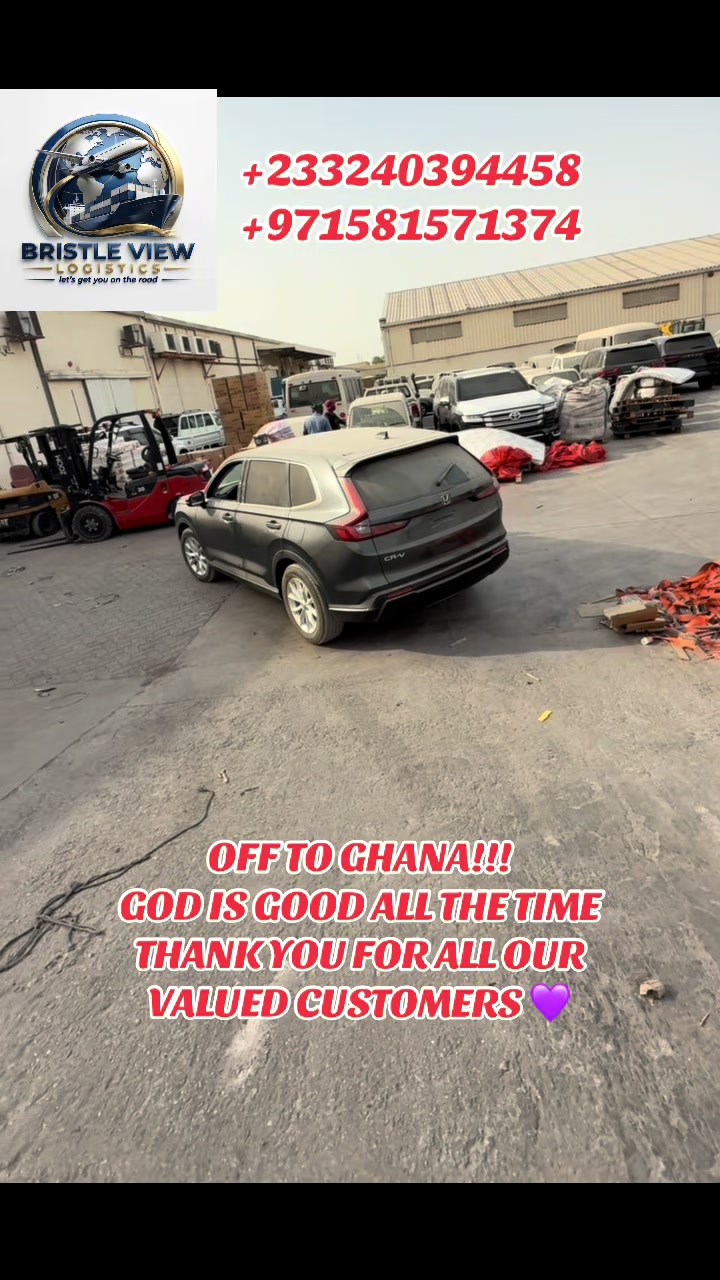 @Bristle View Logistics
