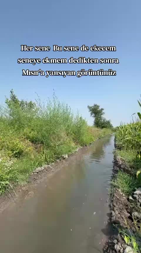 @sefa gedik