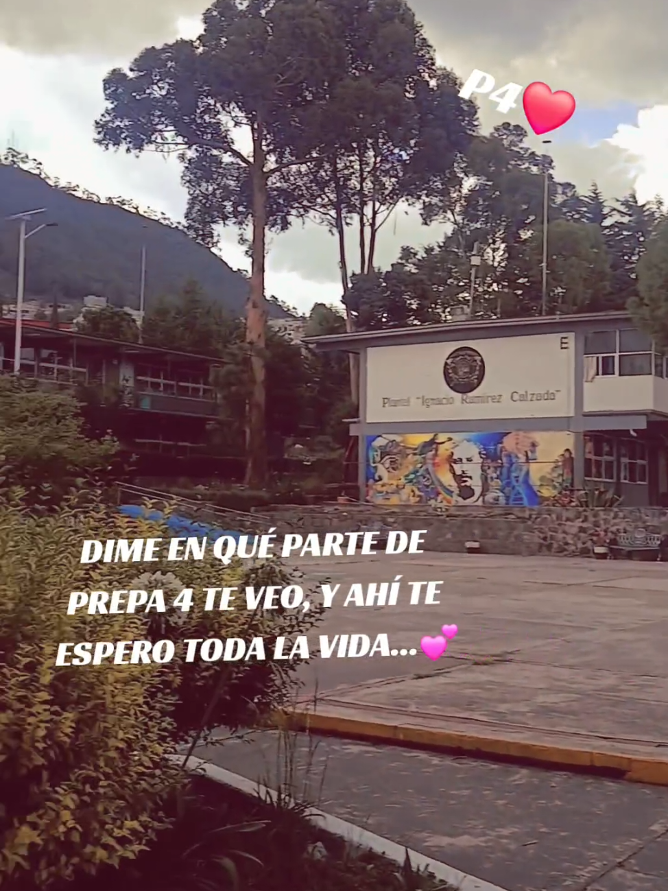 @Marcos Arturo