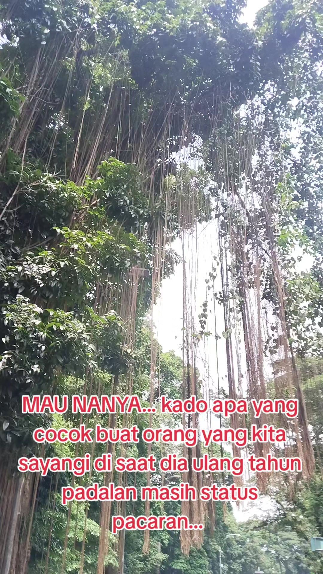 @AVANZA xx