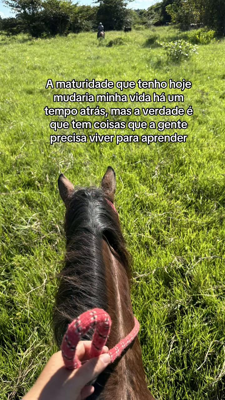 @diolina2_
